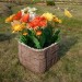 Цветник КАНЬОН купить в Сарапуле